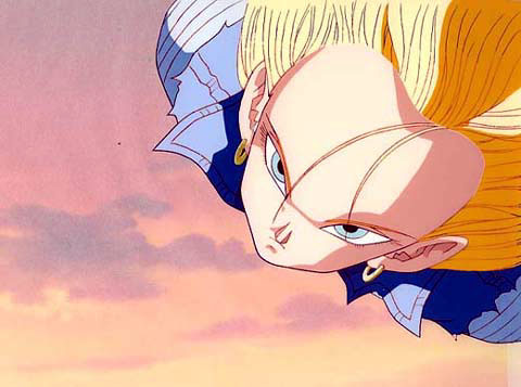 Otaku Gallery  / Anime e Manga / Dragon Ball / Cels / Androidi / andcel29.jpg